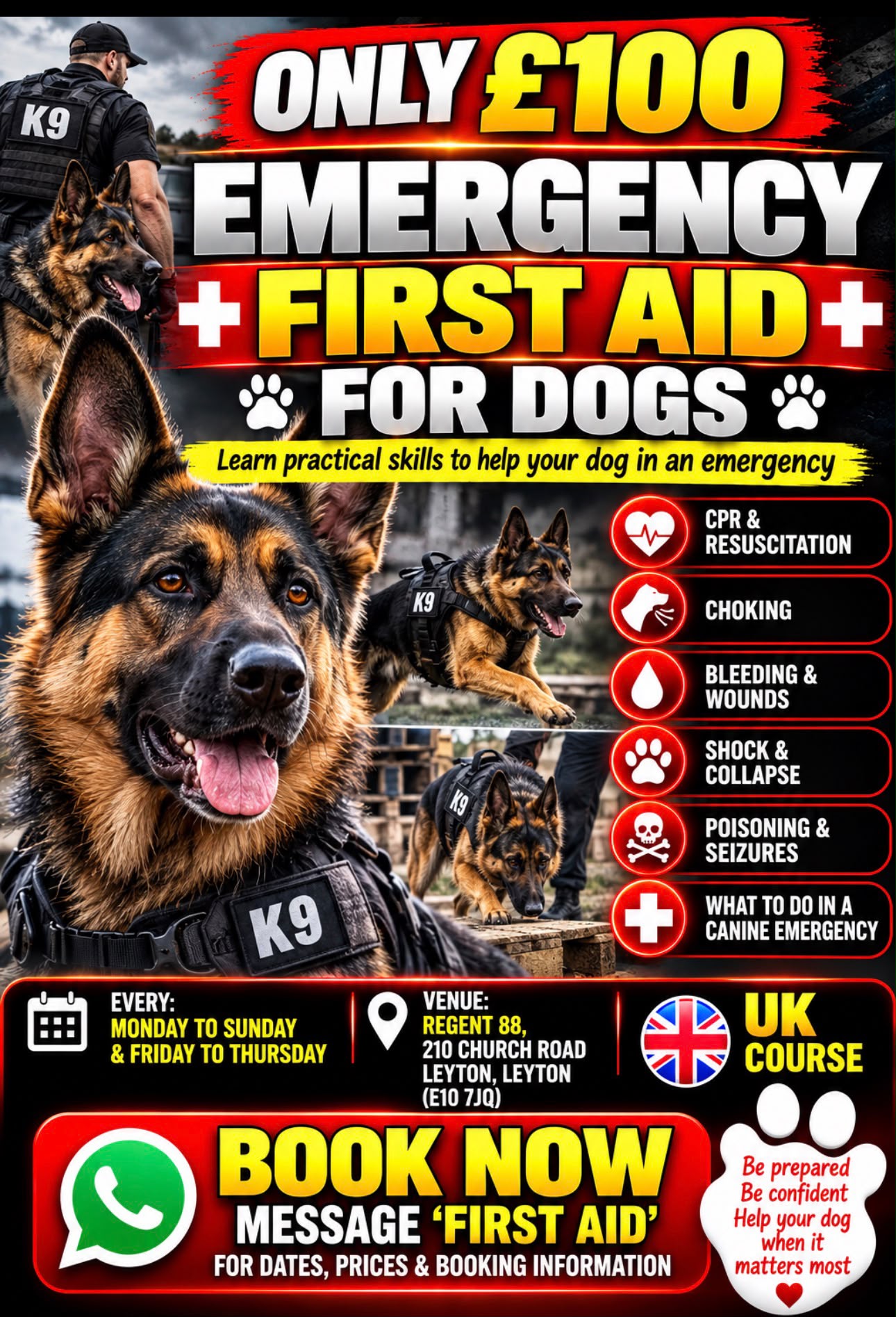 Emergency First Aid for Dogs Emergency First Aid for Dogs